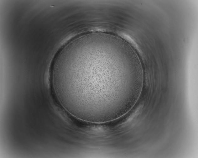 X0000088370439200706051044