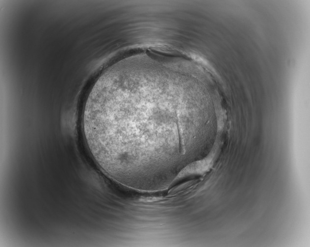 X0000088370440200706051044
