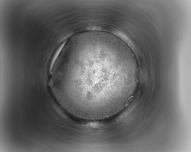 X0000088370441200706051044