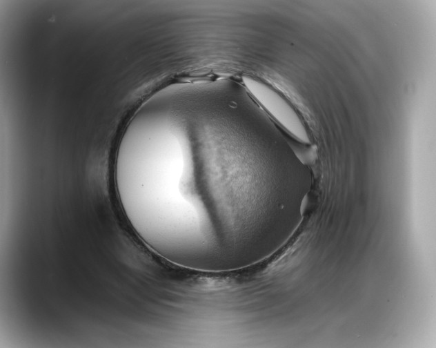 X0000088370442200706051044