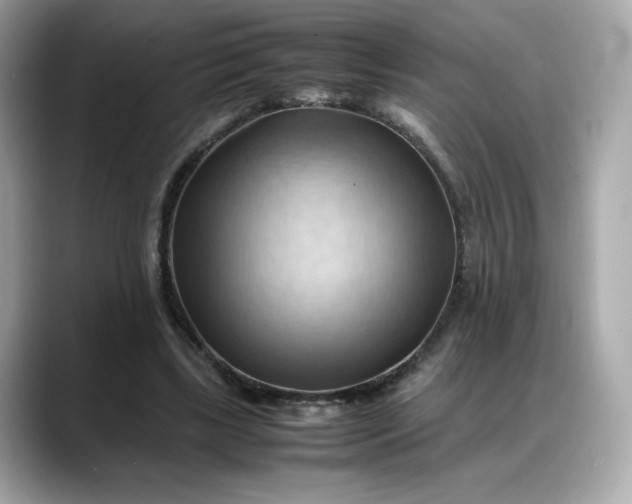 X0000088370443200706051044