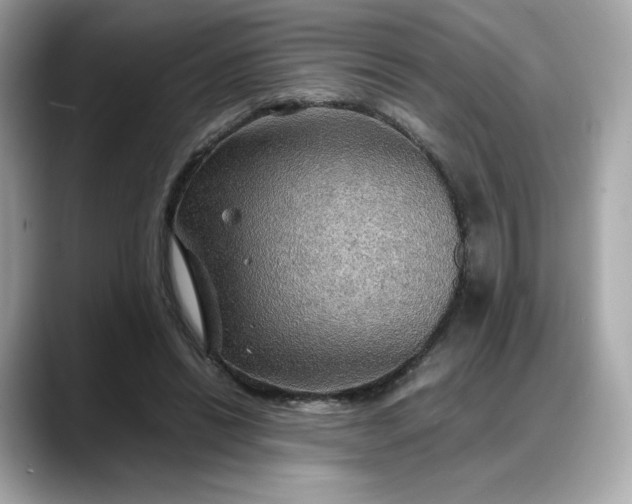 X0000088370446200706051044
