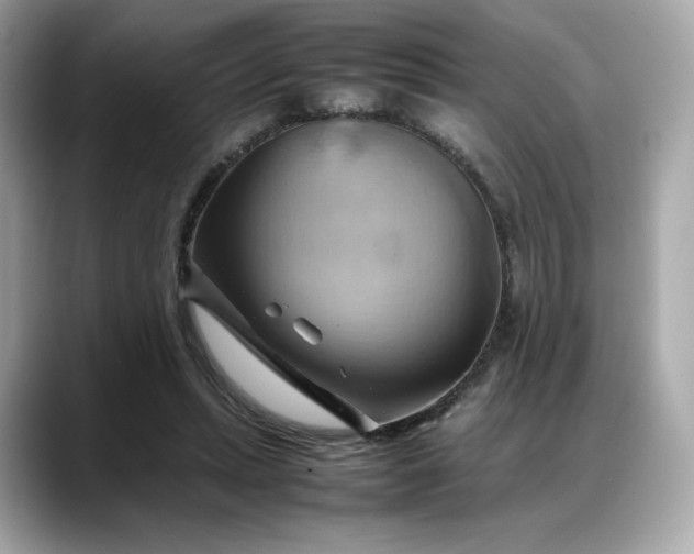 X0000088370447200706051044