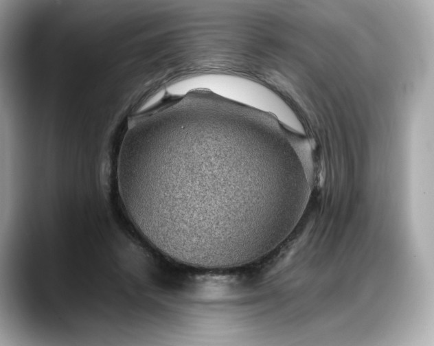 X0000088370448200706051044