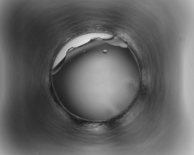 X0000088370449200706051044