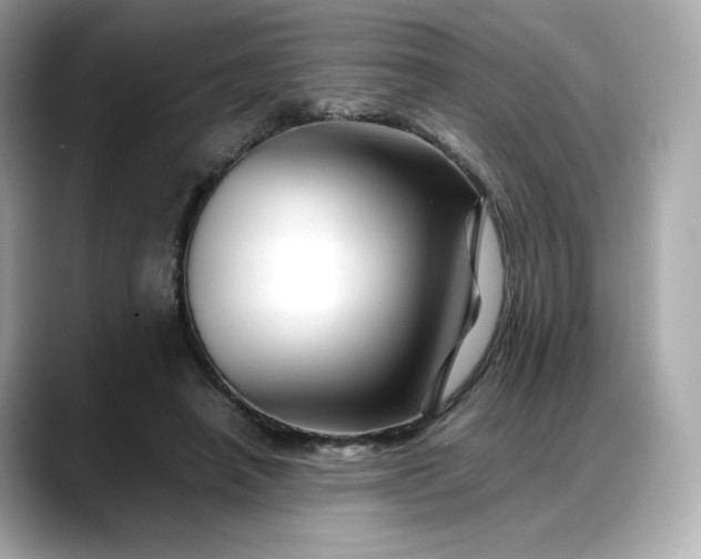 X0000088370450200706051044