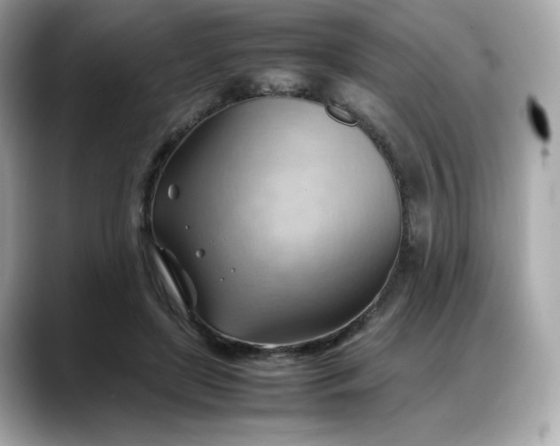 X0000088370451200706051044
