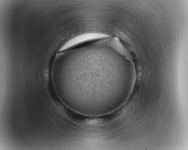 X0000088370452200706051044