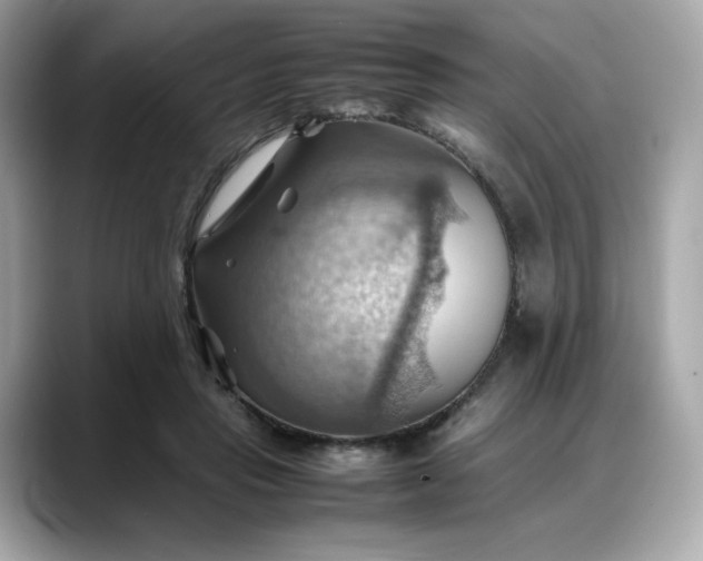 X0000088370453200706051044