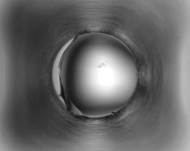 X0000088370454200706051044