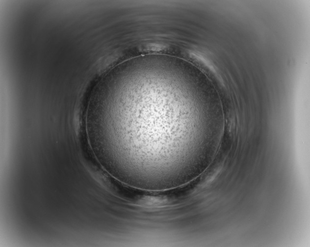 X0000088370455200706051044