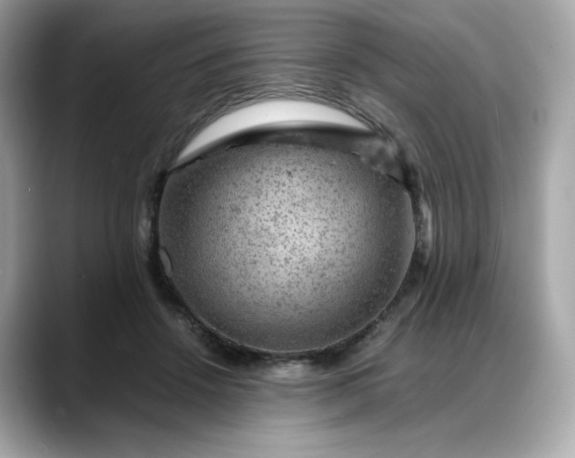 X0000088370456200706051044