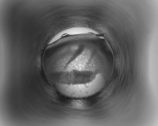 X0000088370457200706051044