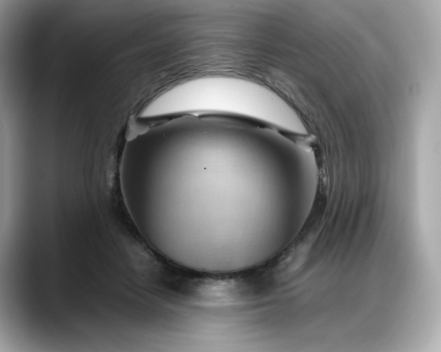 X0000088370458200706051044