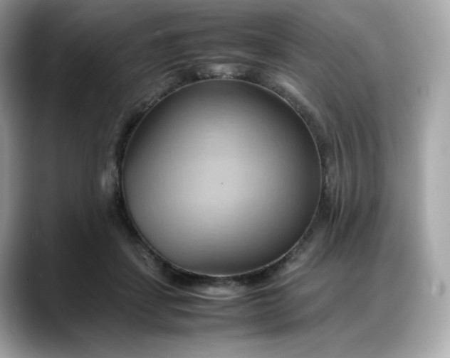 X0000088370459200706051044