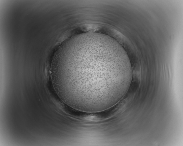 X0000088370460200706051044