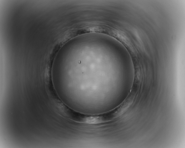X0000088370461200706051044