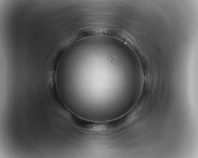 X0000088370462200706051044