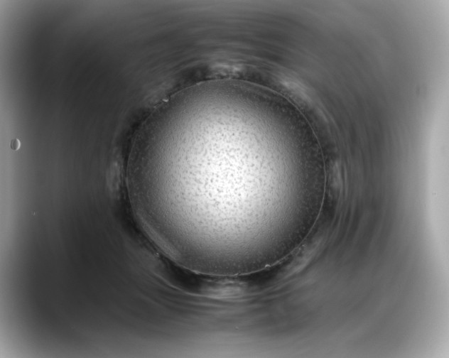 X0000088370463200706051044
