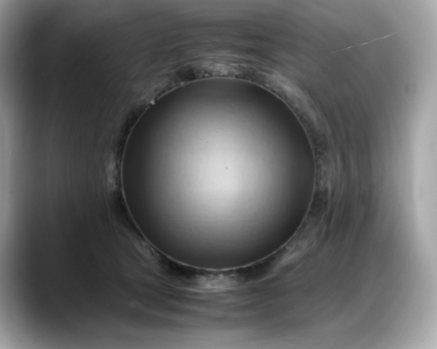 X0000088370465200706051044
