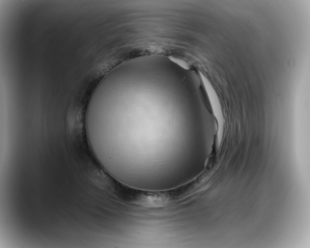 X0000088370466200706051044