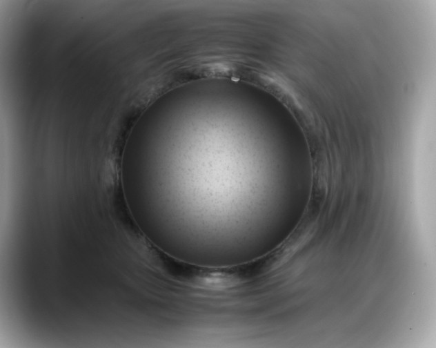 X0000088370467200706051044