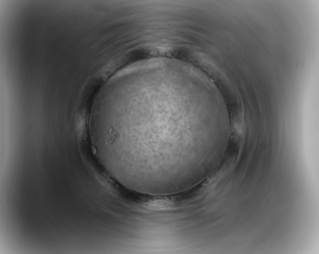 X0000088370468200706051044