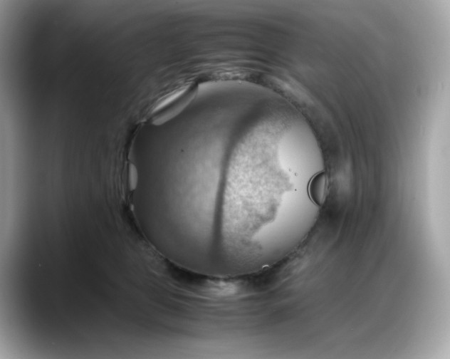 X0000088370469200706051044