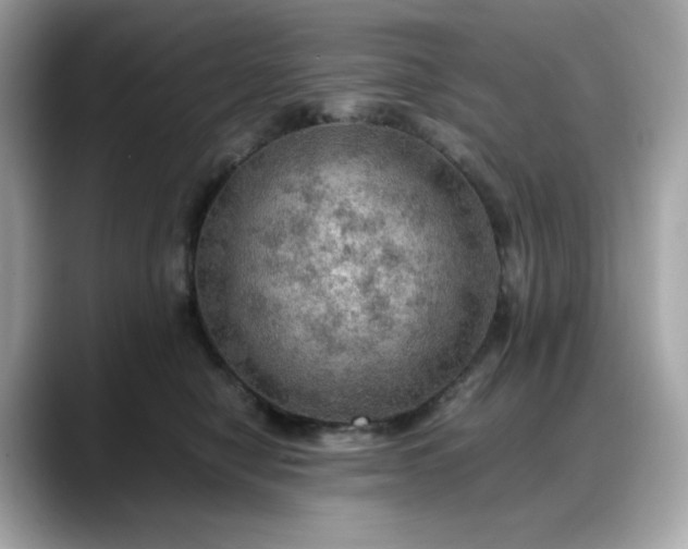 X0000088370470200706051044