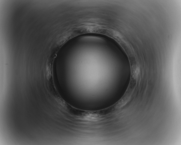 X0000088370471200706051044