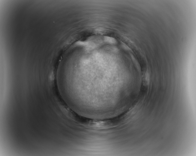 X0000088370472200706051044