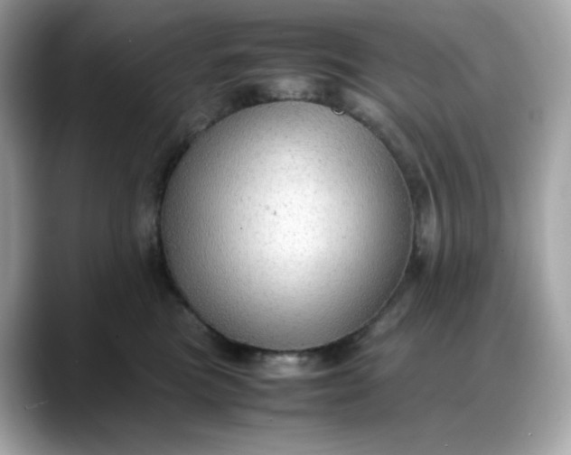X0000088370473200706051044