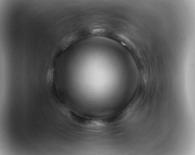 X0000088370475200706051044