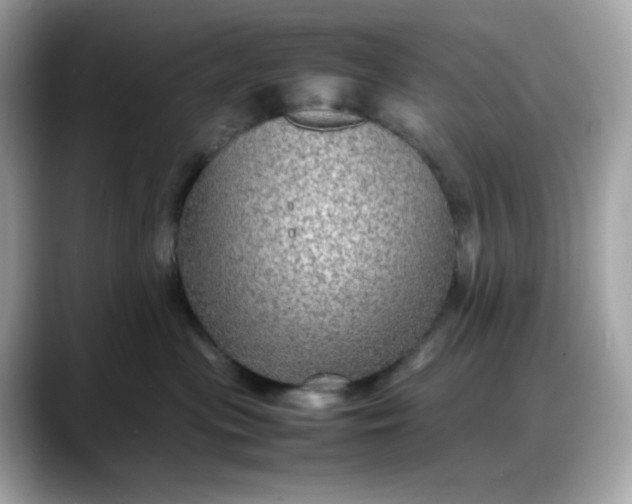 X0000088370477200706051044