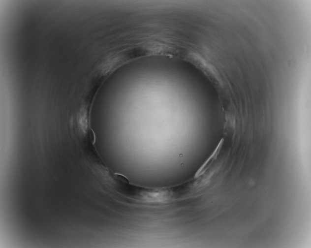 X0000088370479200706051045
