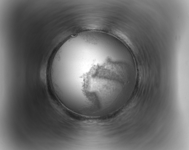 X0000088370482200706051044