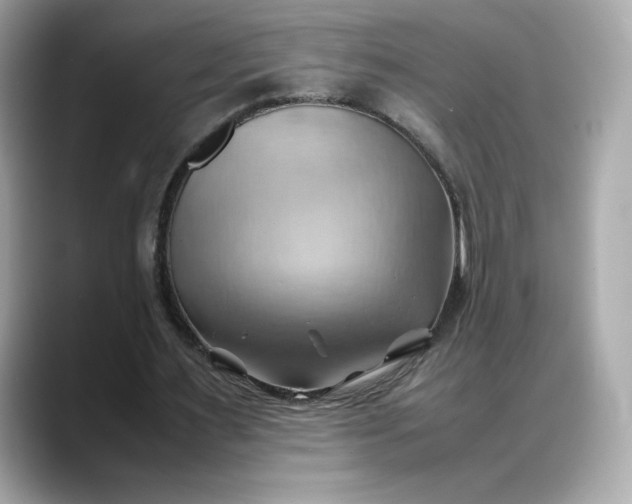 X0000088370483200706051044