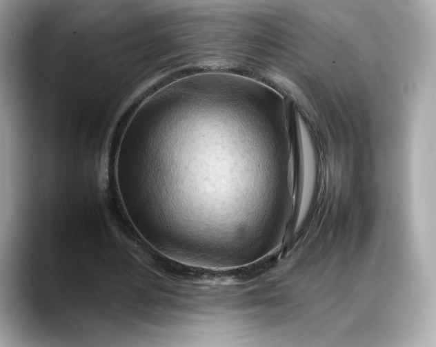 X0000088370484200706051044