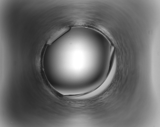 X0000088370485200706051044