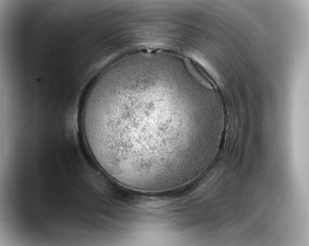 X0000088370486200706051044