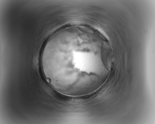 X0000088370487200706051044