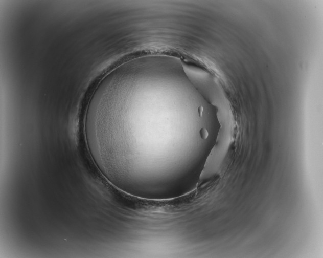 X0000088370488200706051044