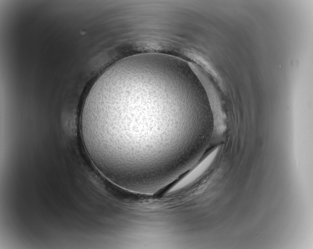 X0000088370489200706051044