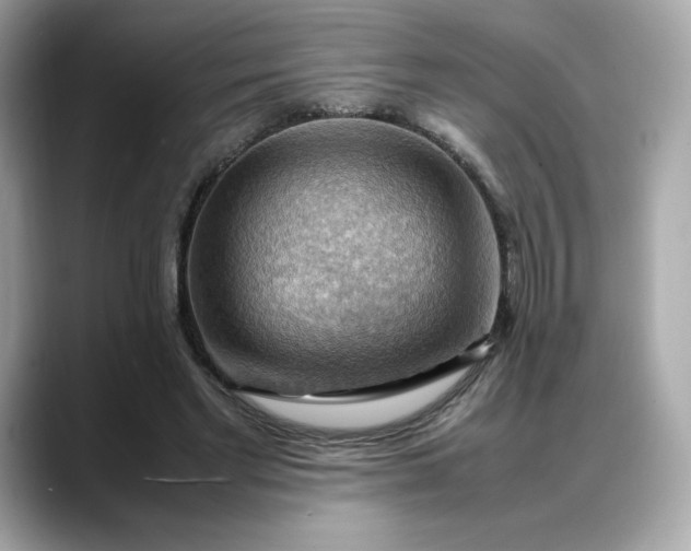 X0000088370493200706051044
