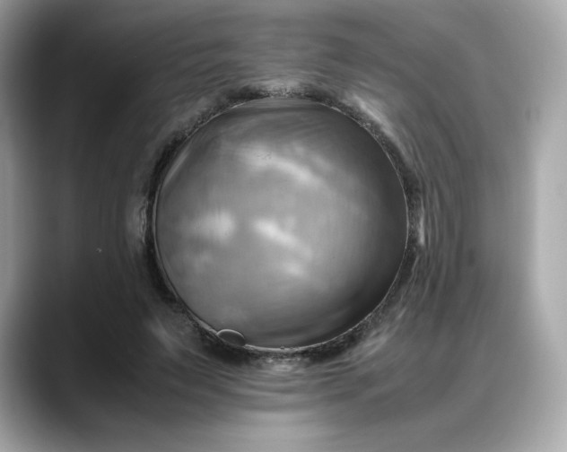 X0000088370495200706051044