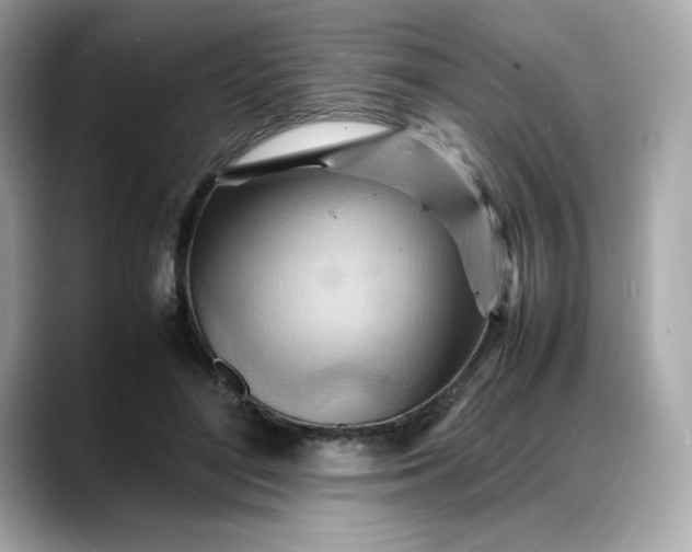 X0000088370500200706051044