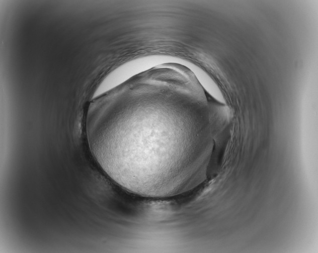 X0000088370501200706051044