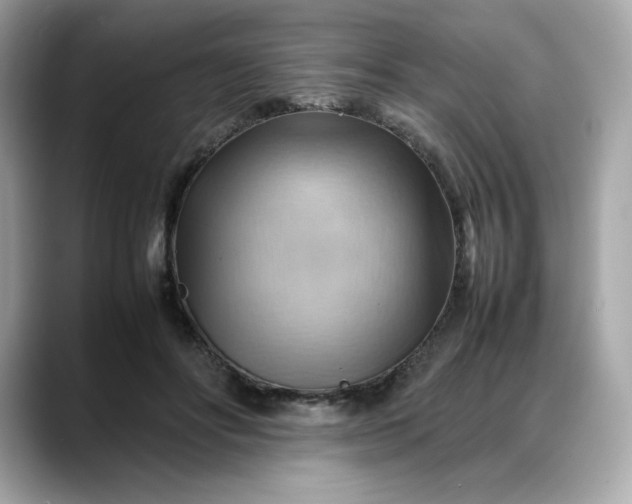 X0000088370502200706051044