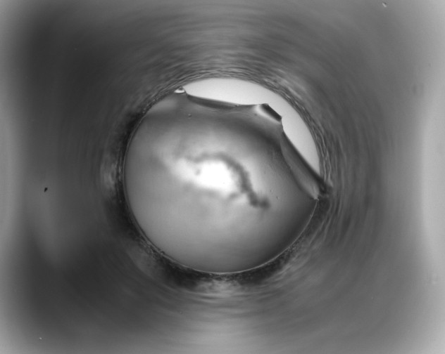 X0000088370503200706051044