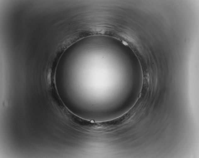 X0000088370504200706051044